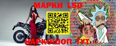 индика Ярославль