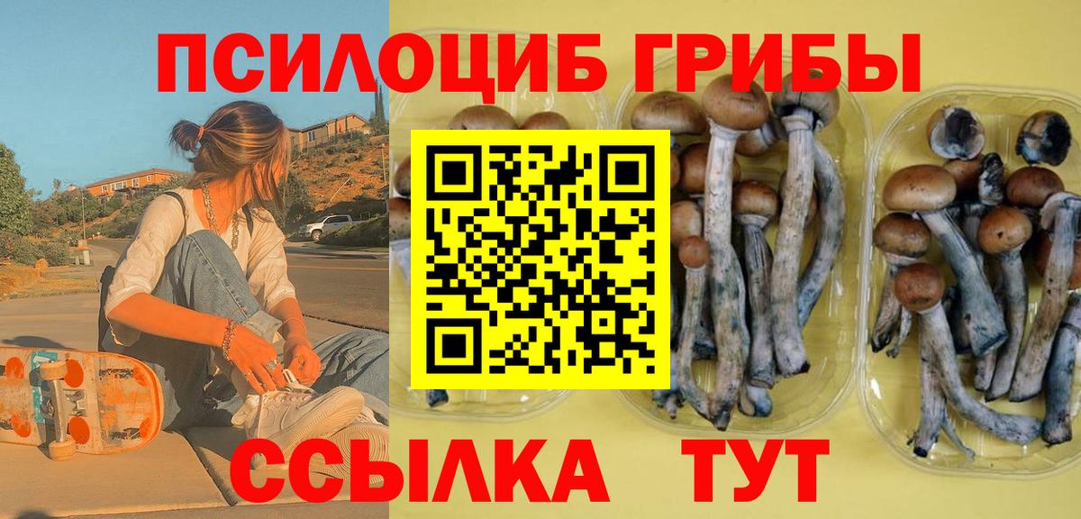 Галлюциногенные грибы Psilocybe Дагестанские Огни