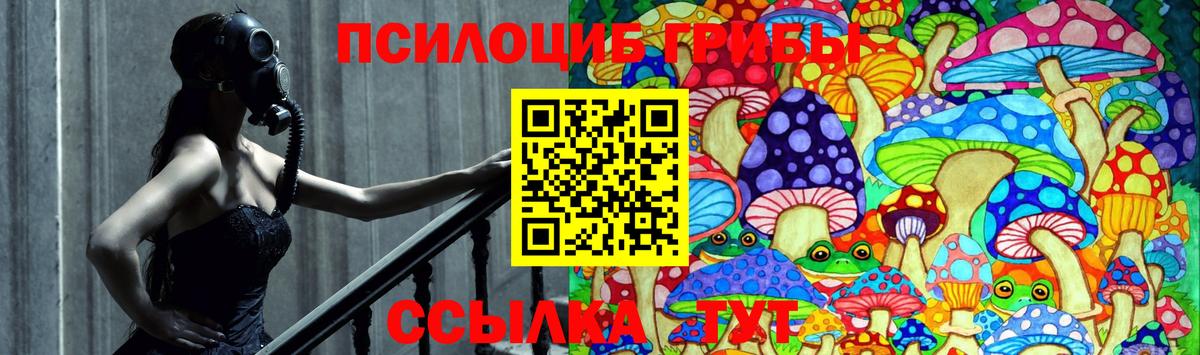закладка  Вход с VPN  Дагестанские Огни  Галлюциногенные грибы Psilocybine cubensis 