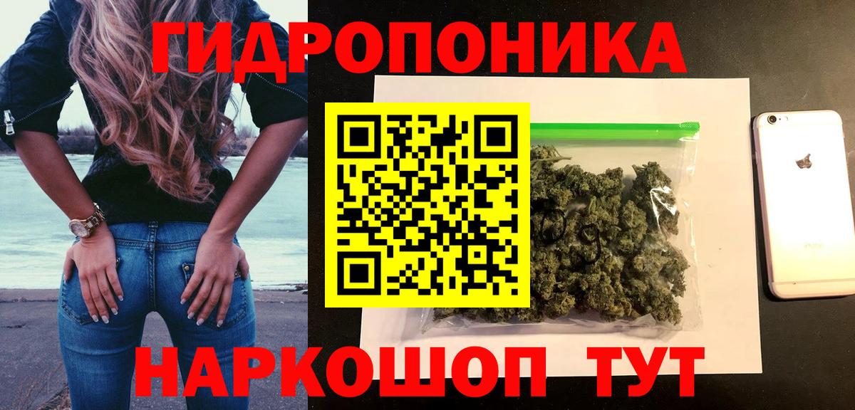 Шишки марихуана сатива Дагестанские Огни